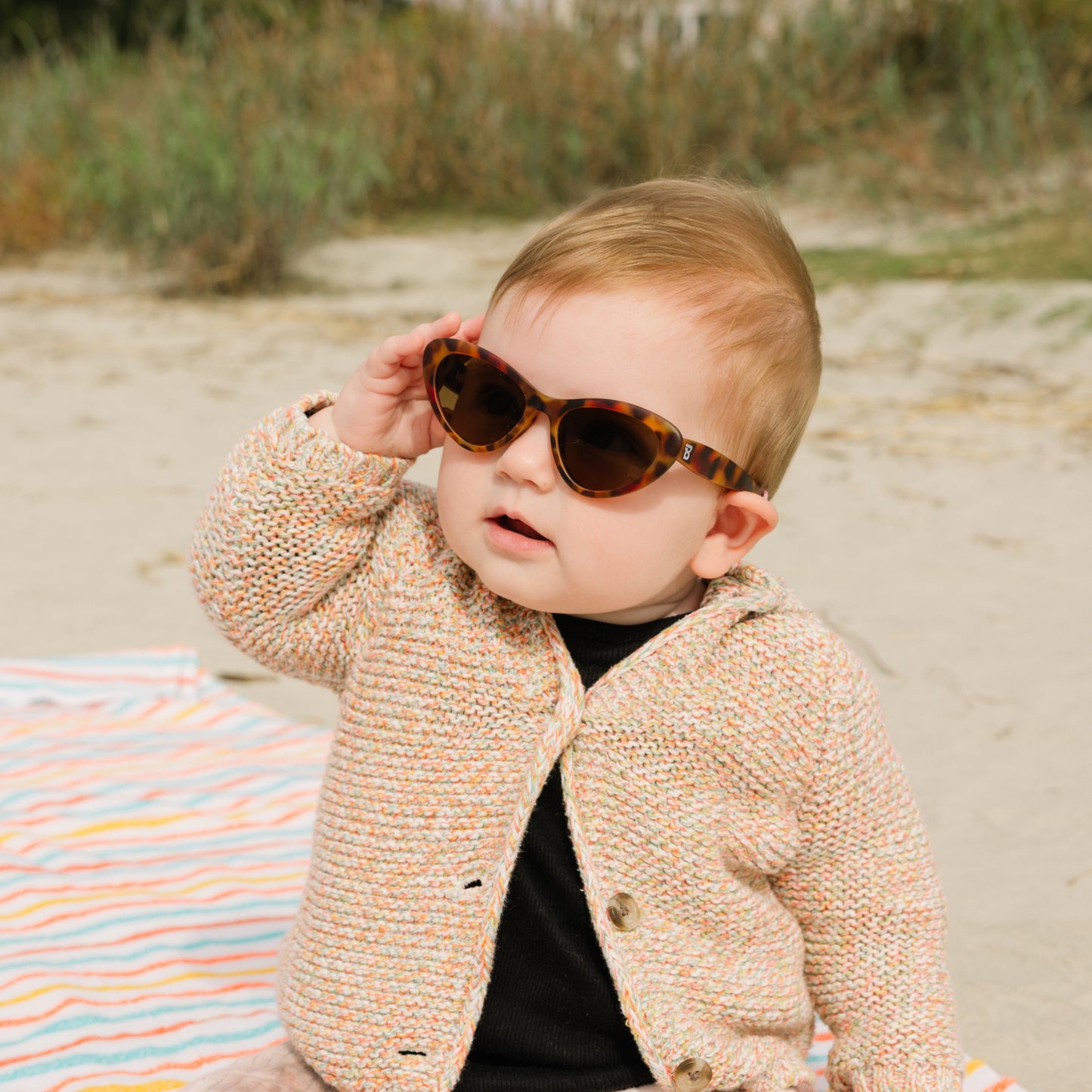 Non-Polarized Cat-Eye Sunglasses | Totally Tortoise - Babiators Canada